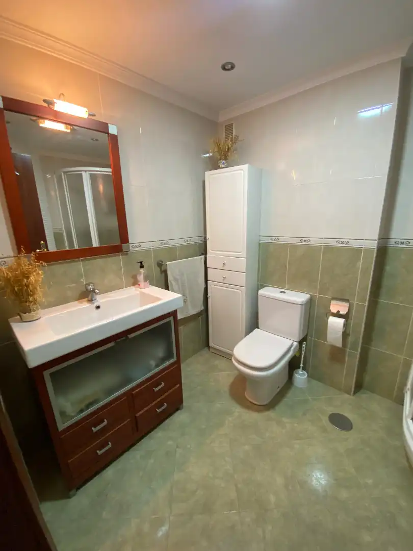 Bathroom of Flat for rent in Málaga  with Air Conditioner, Terrace and Furnished