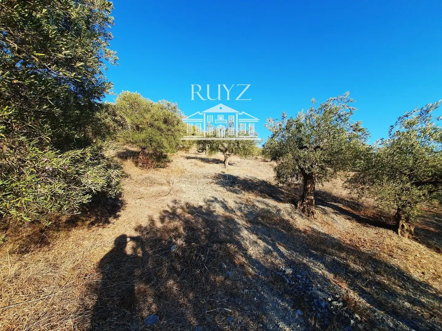 Residencial en venta en Jete