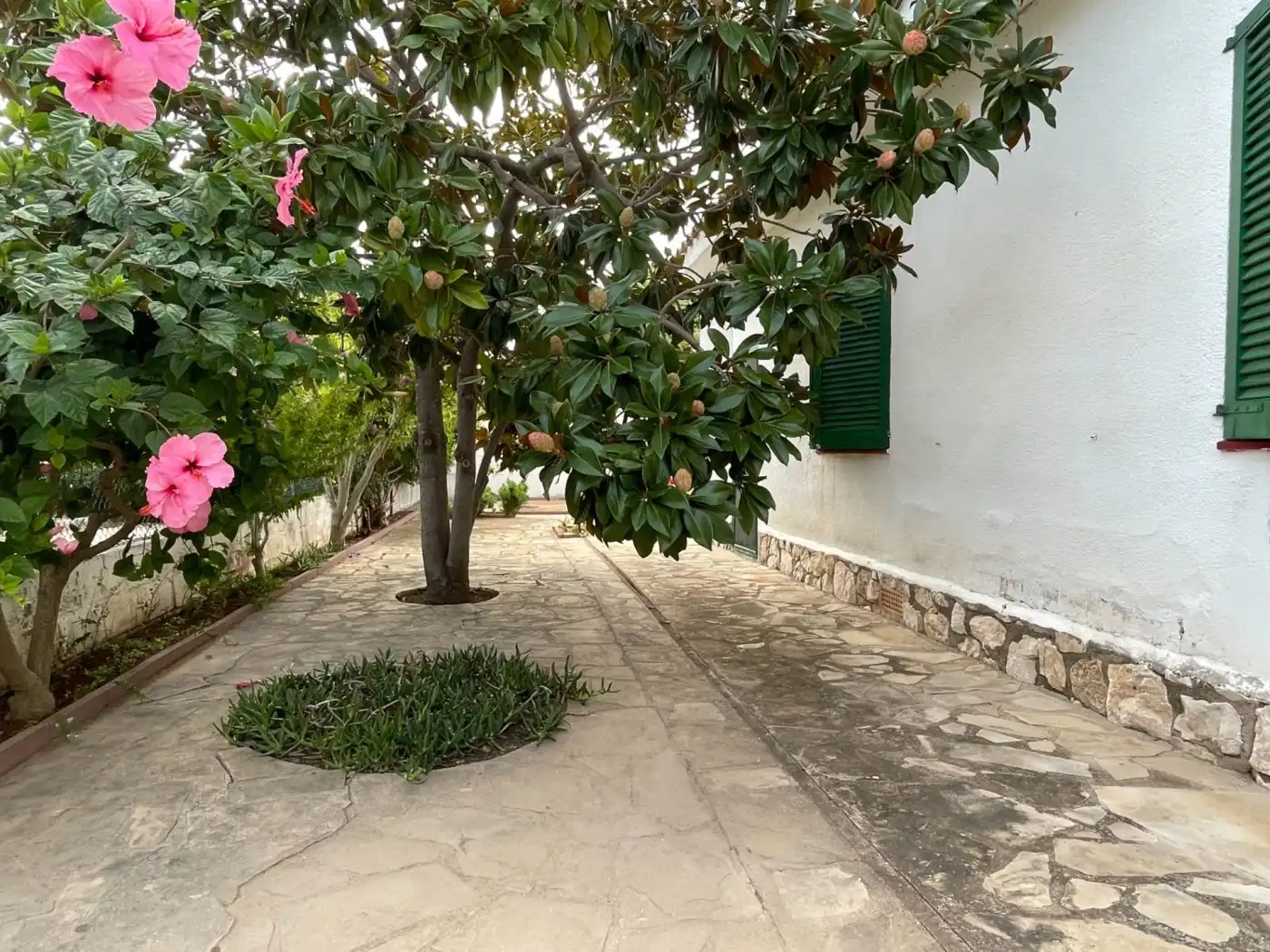 Casa en venta en Eucaliptus- Poble Nou del Delta, imagen 28