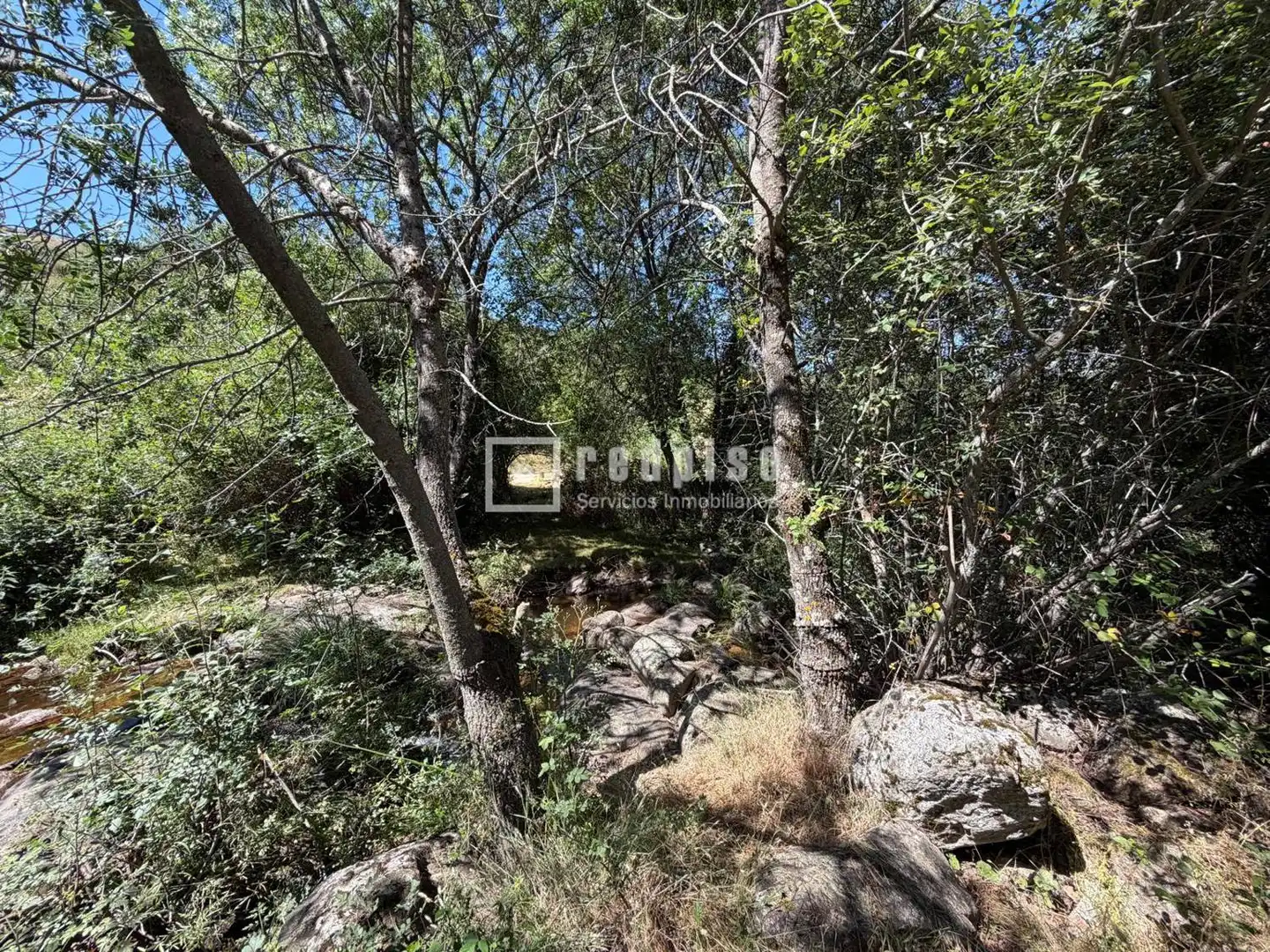 Casa o chalet en venta en Canencia, Madrid