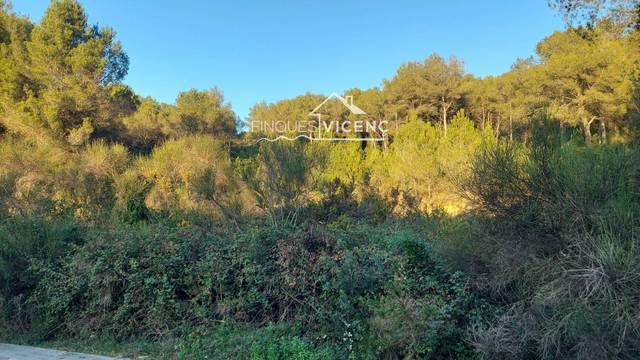 Terreno en Venta en xavier montsalvatge  en  mas romeu en Calafell Poble