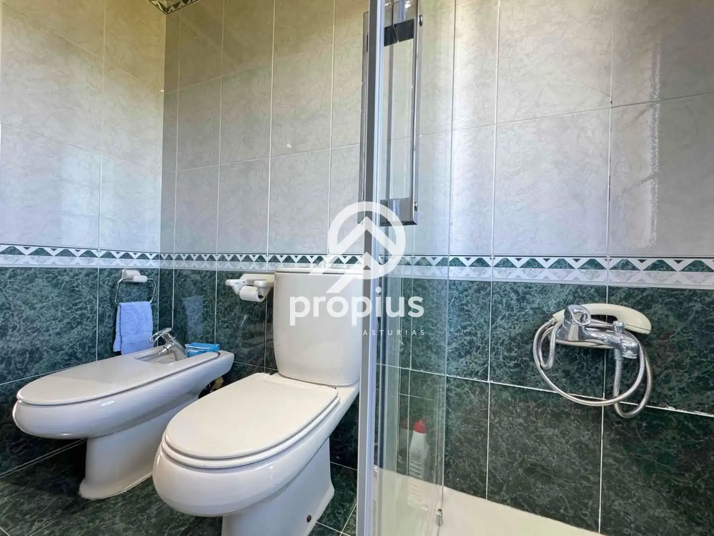 Baño de Casa o chalet en venta en Avilés con Calefacción, Jardín privado y Parquet