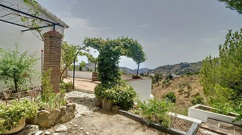 Foto 2 de Finca rústica en venda a Camino de Benamayor, 115o, Cómpeta, Málaga