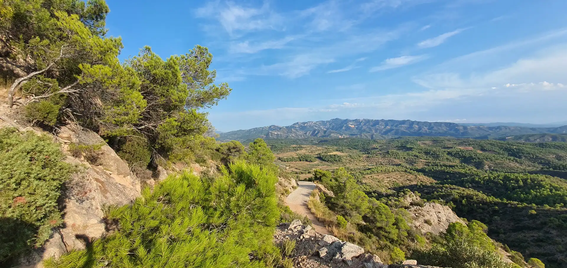 Wohnbaugrundstück zum Verkauf in El Pinell de Brai, imagen 15