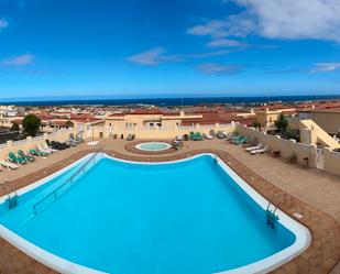 Piscina de Casa o xalet en venda en Antigua amb Jardí privat, Terrassa i Rentadora