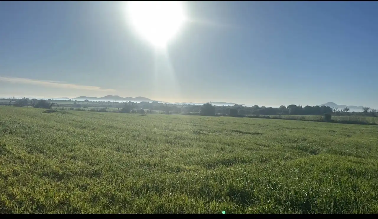 Terreno en venta en Vilafranca de Bonany