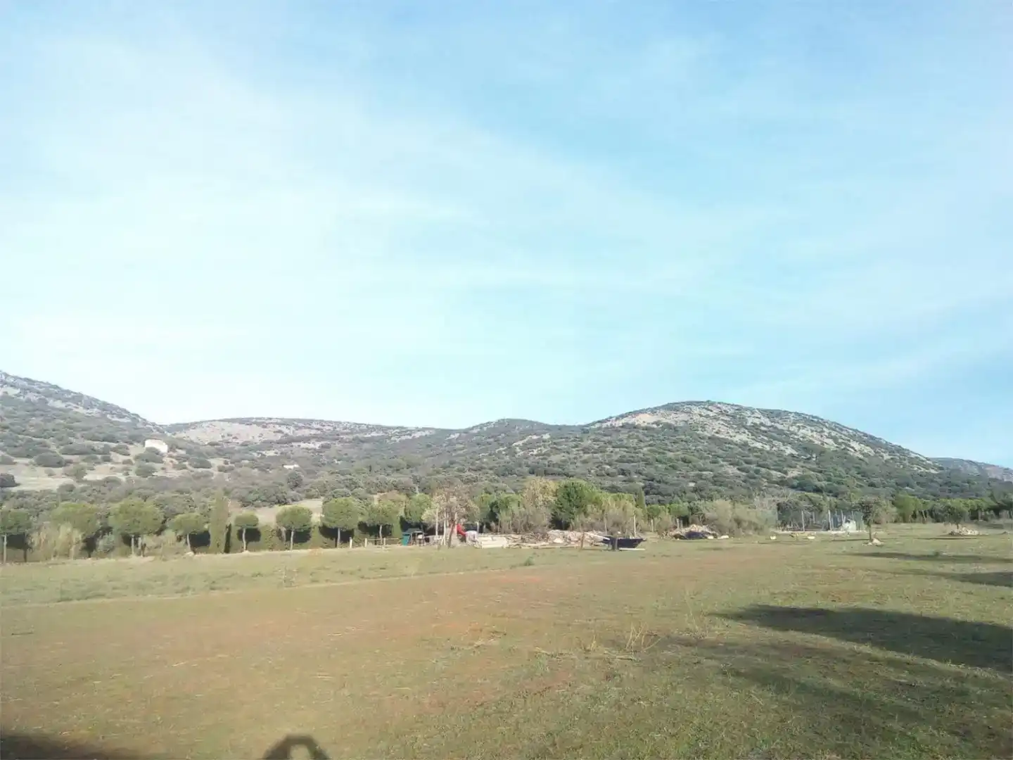 Land for sale in Moral de Calatrava