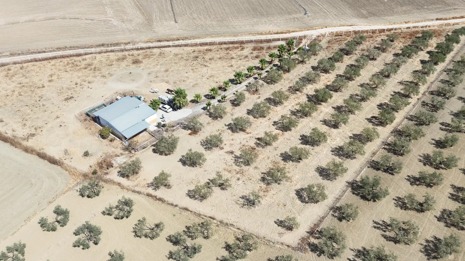 Rural land for sale in Polígono 12 Parcela 177 LA CORIANA. OLIVARES (SEV, imagen 8