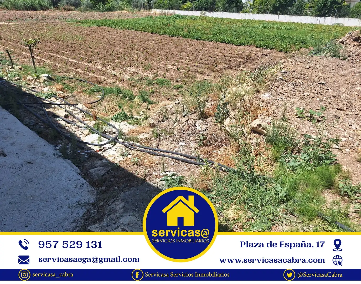 Finca rústica en venta en Cabra
