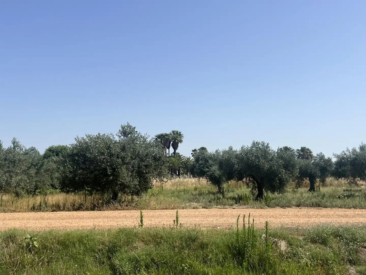 Casa o chalet en venta en Santa Amalia con Terraza y Piscina