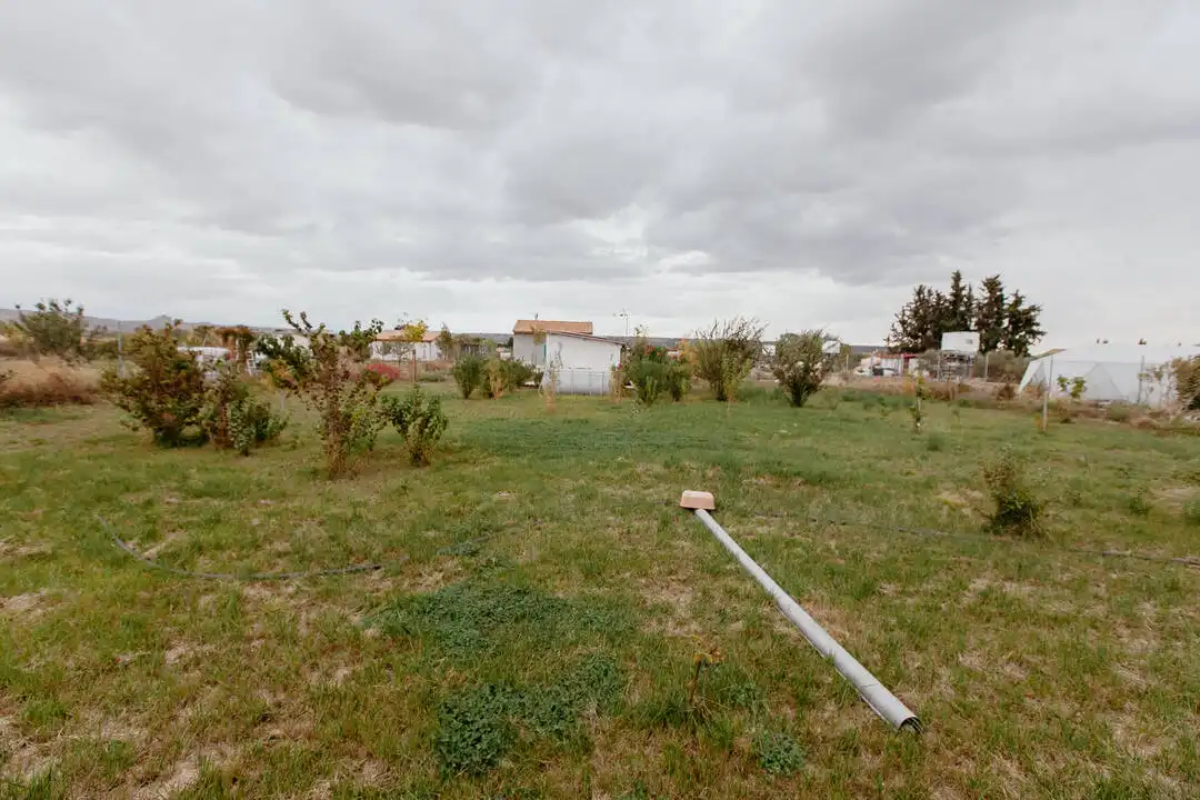 Terreny rústic en venda a Pedanias, imagen 28