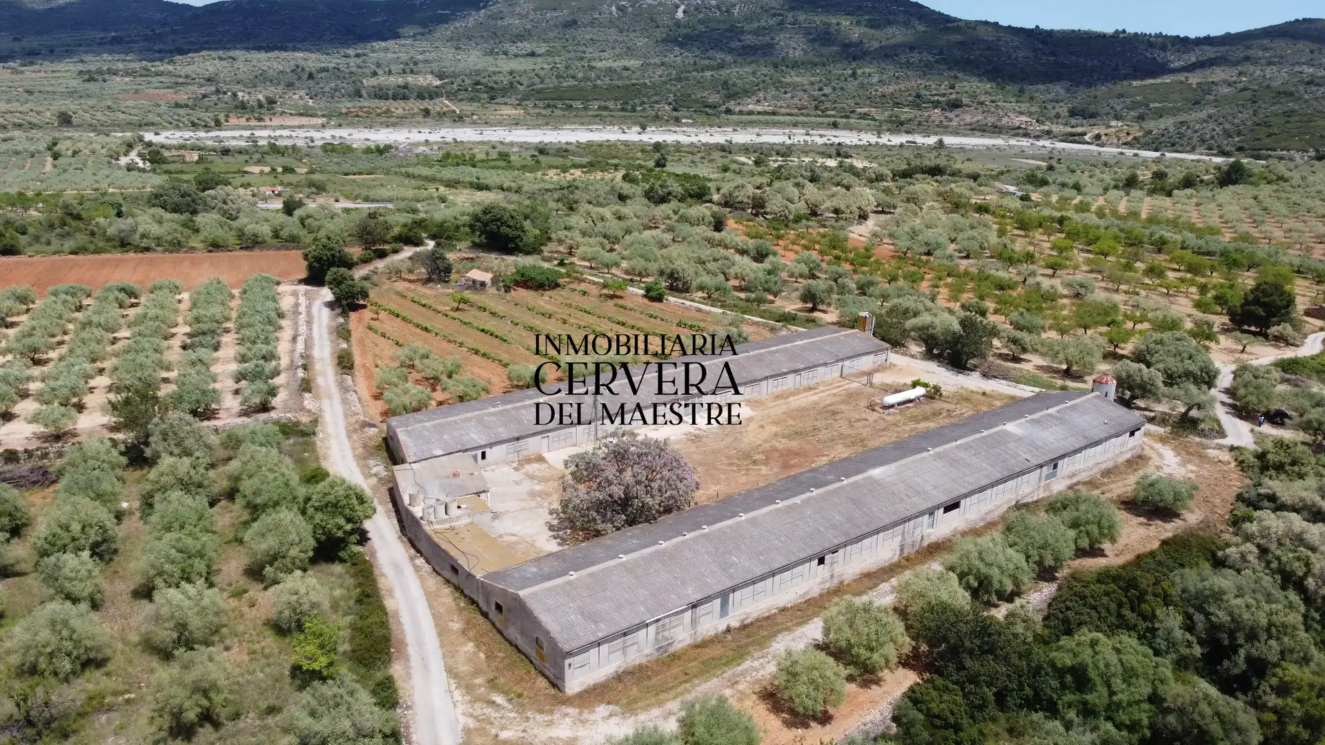 Terreno rustico in vendita a Cervera del Maestre
