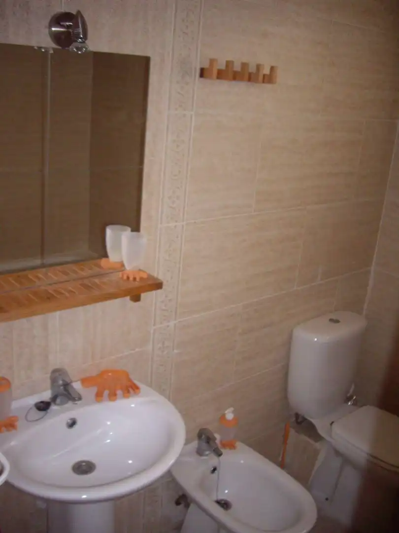 Baño de Piso para compartir en Torrent con Amueblado, Horno y Lavadora