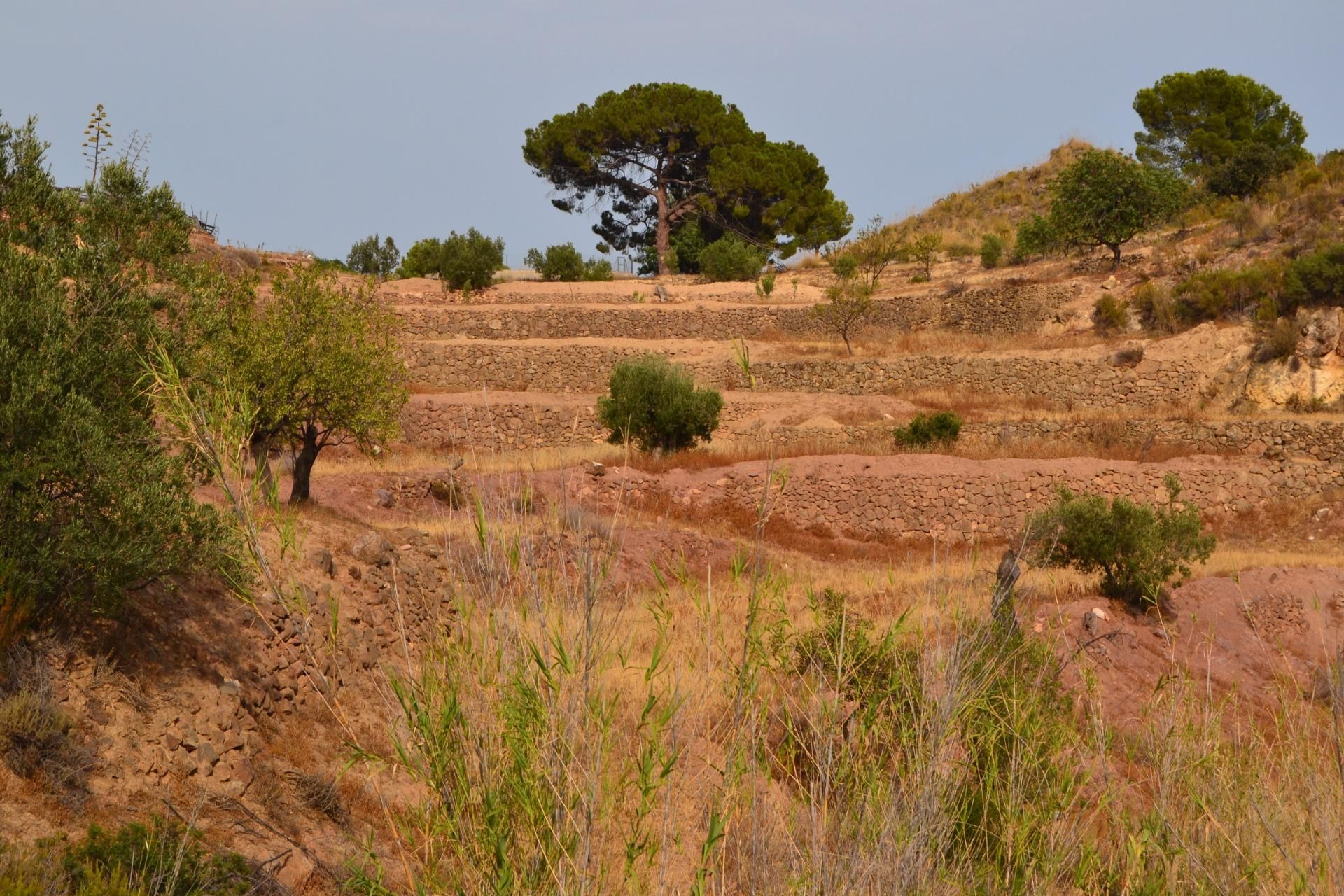 Finca rústica de lloguer amb opció a compra en Lorca amb Jardí privat