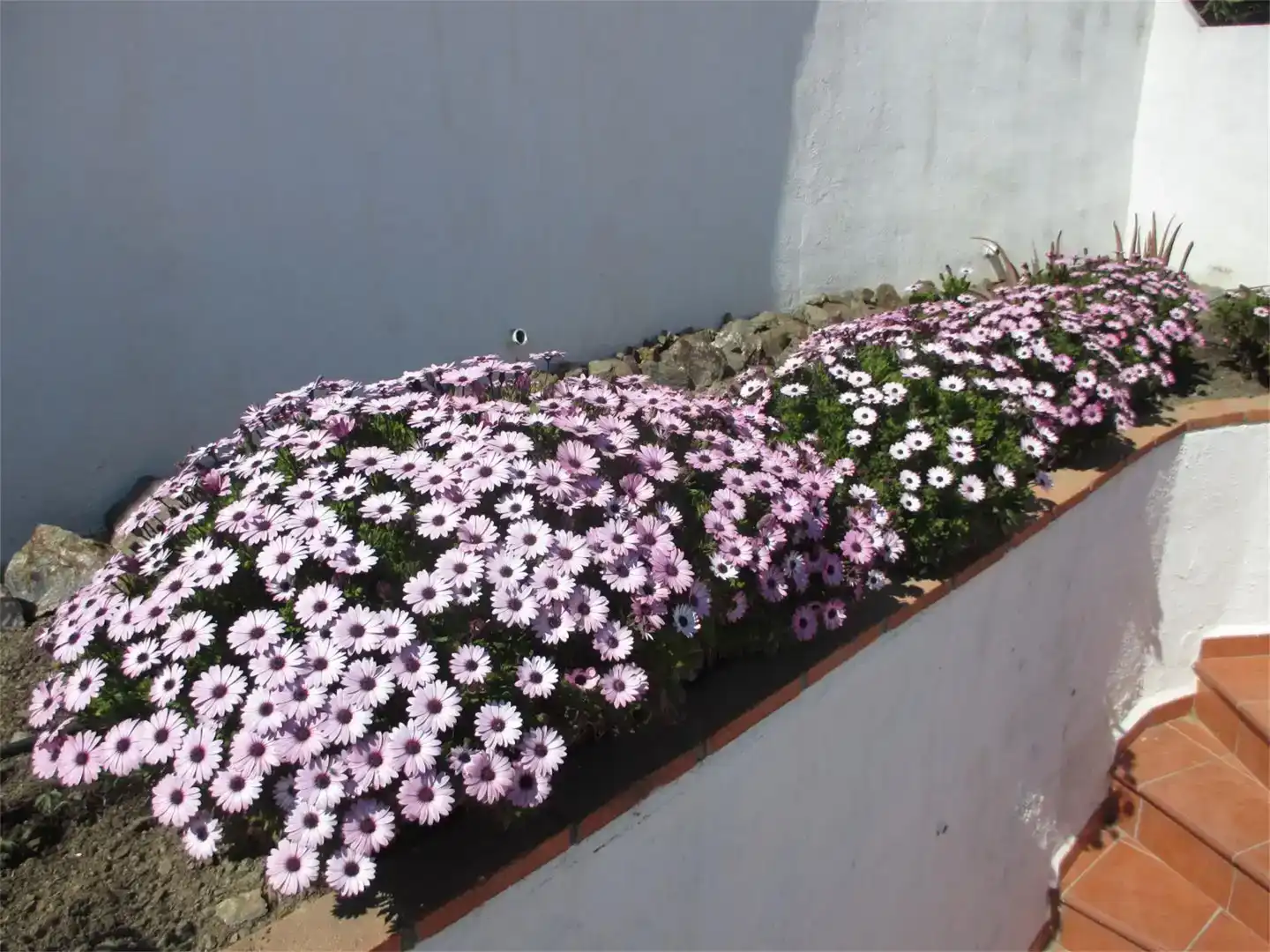 Jardí de Pis en venda en Albondón amb Jardí privat, Moblat i Balcó