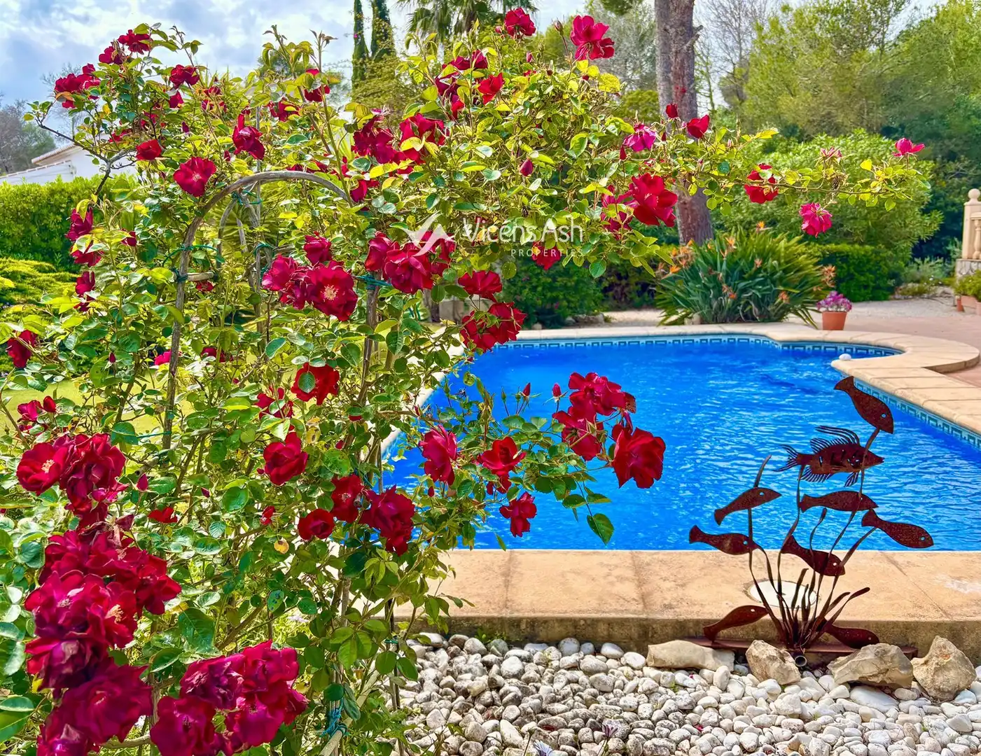 Piscina de Casa o chalet en venta en La Granadella  - Costa Nova