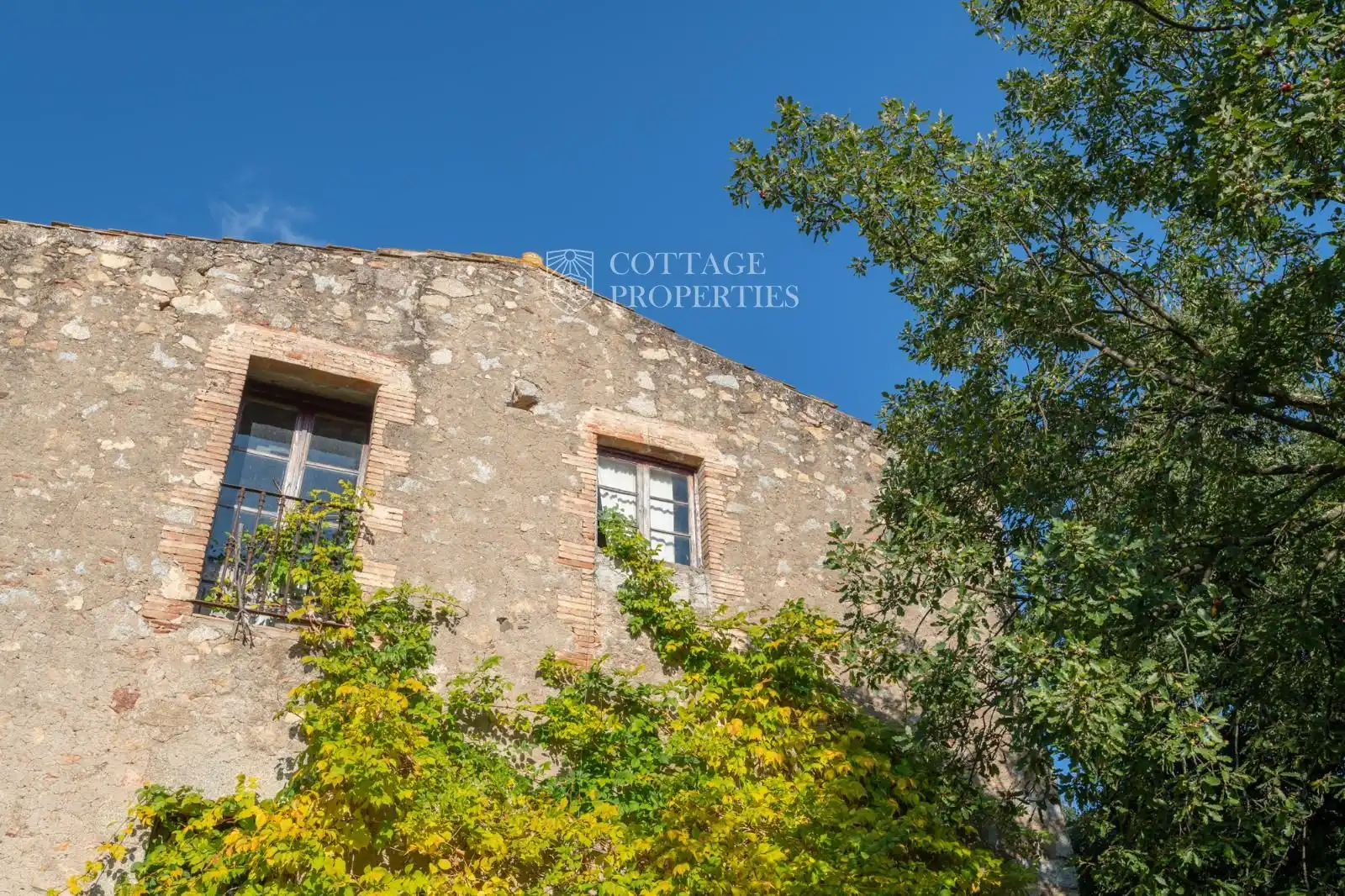Vista exterior de Finca rústica en venta en Maçanet de Cabrenys