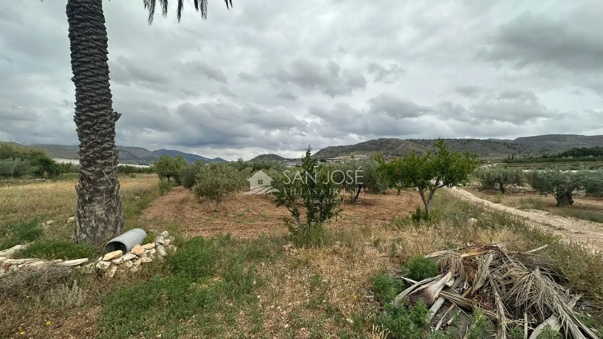 Local en venta en La Romana