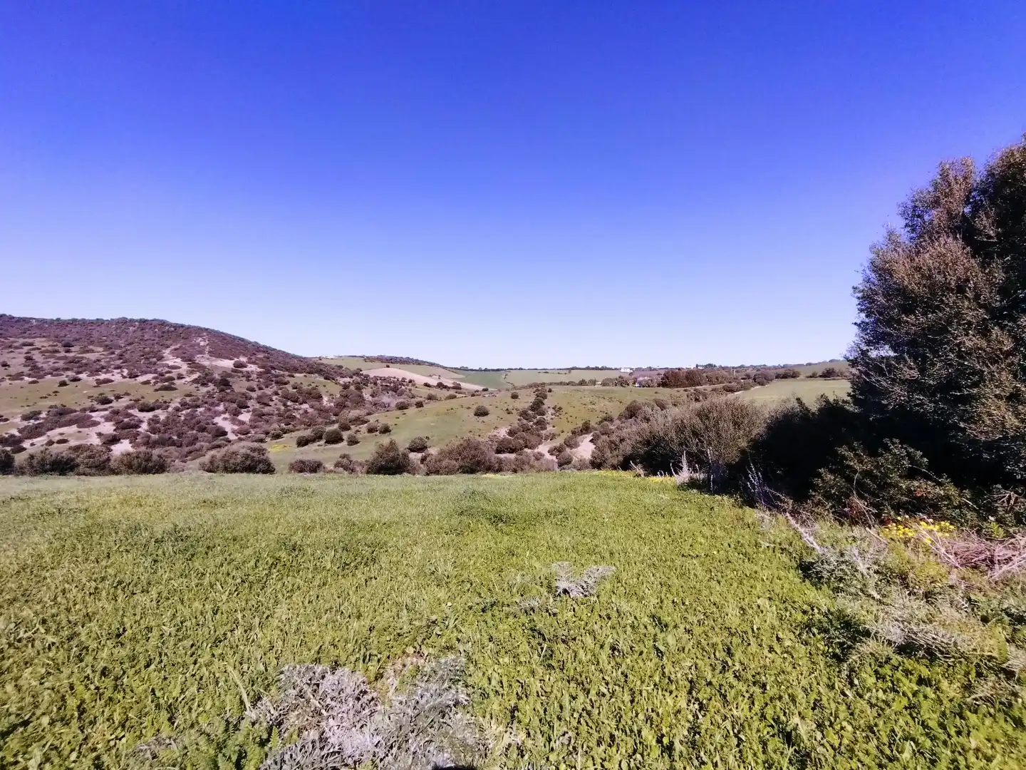 Terreni e lotti in vendita a Vejer, imagen 19