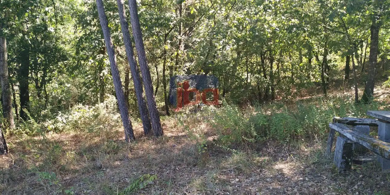 Terreni e lotti in vendita a O Pereiro de Aguiar, imagen 9