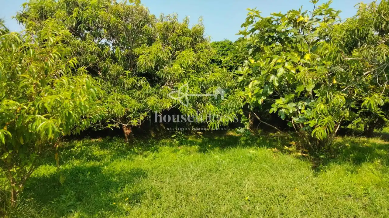 Houses for sale in Ferrol  with Heating, Private garden and Terrace