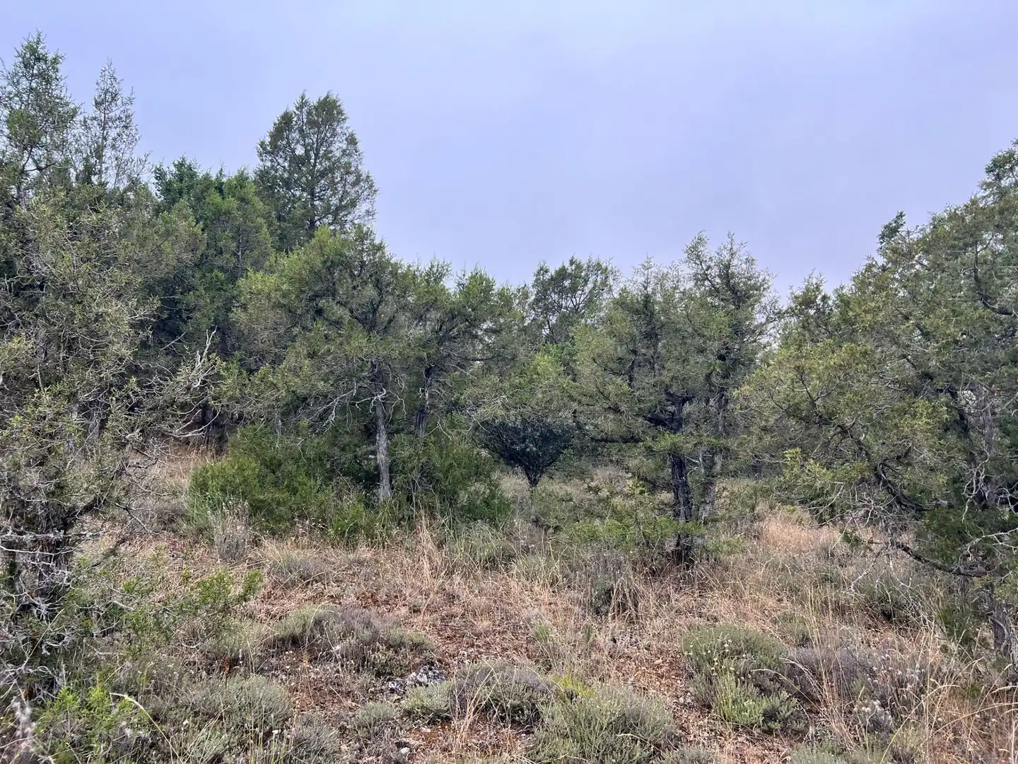 Residencial en venda a Montes Cortos, Duruelo