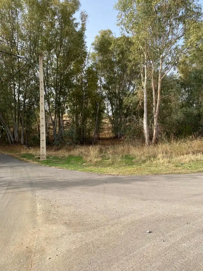 Grundstücke und Bauplätze zum Verkauf in Avenida Proserpina 60, imagen 4