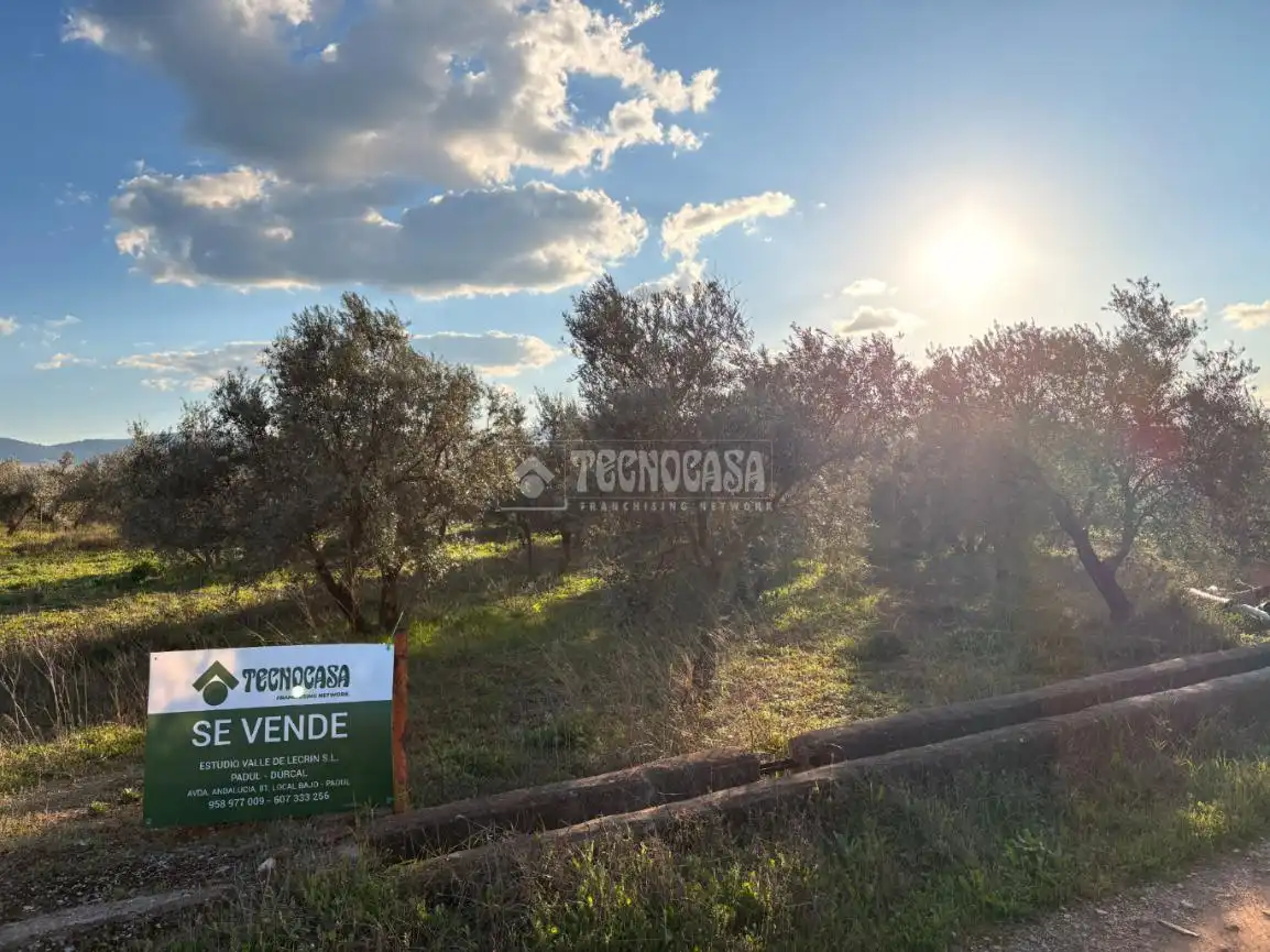 Rural land for sale in Dúrcal, imagen 4