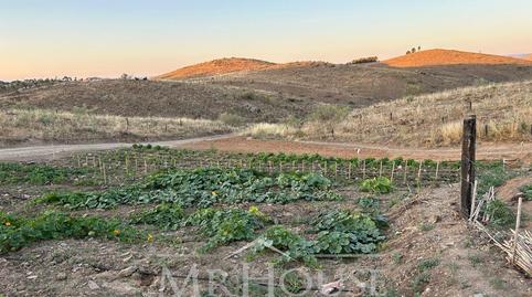 Foto 3 de Terreno en venta en Constitución - Balconcillo, Guadalajara