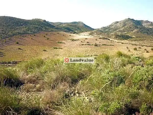 Terreni e lotti in vendita a FINCA RUSTICA BARRANCO MAHOMAS, imagen 8