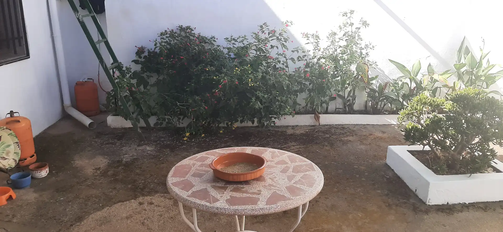 Casa o chalet en venta en Calle Marqués de Valdeterrazo, Valencia del Mombuey