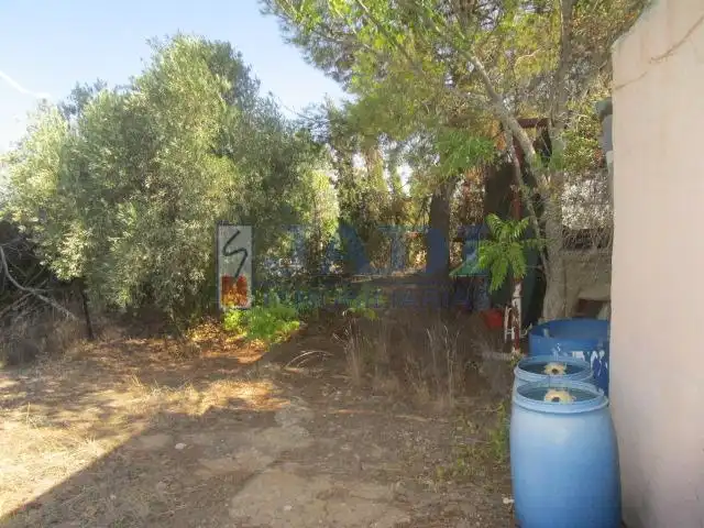 Finca rústica en venda en Membrilla