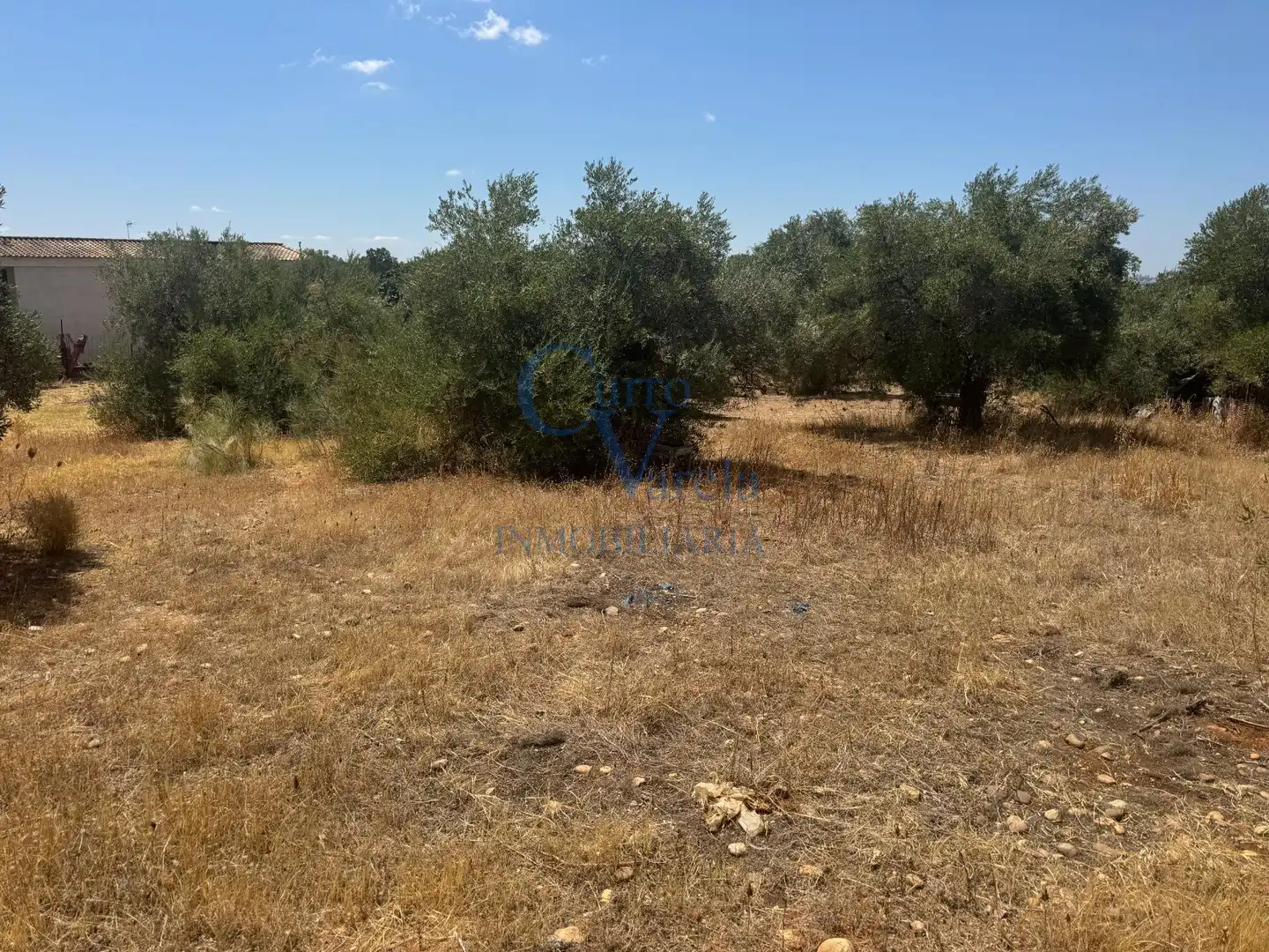 Terreni e lotti in vendita a Arco Norte - Avda España, imagen 9