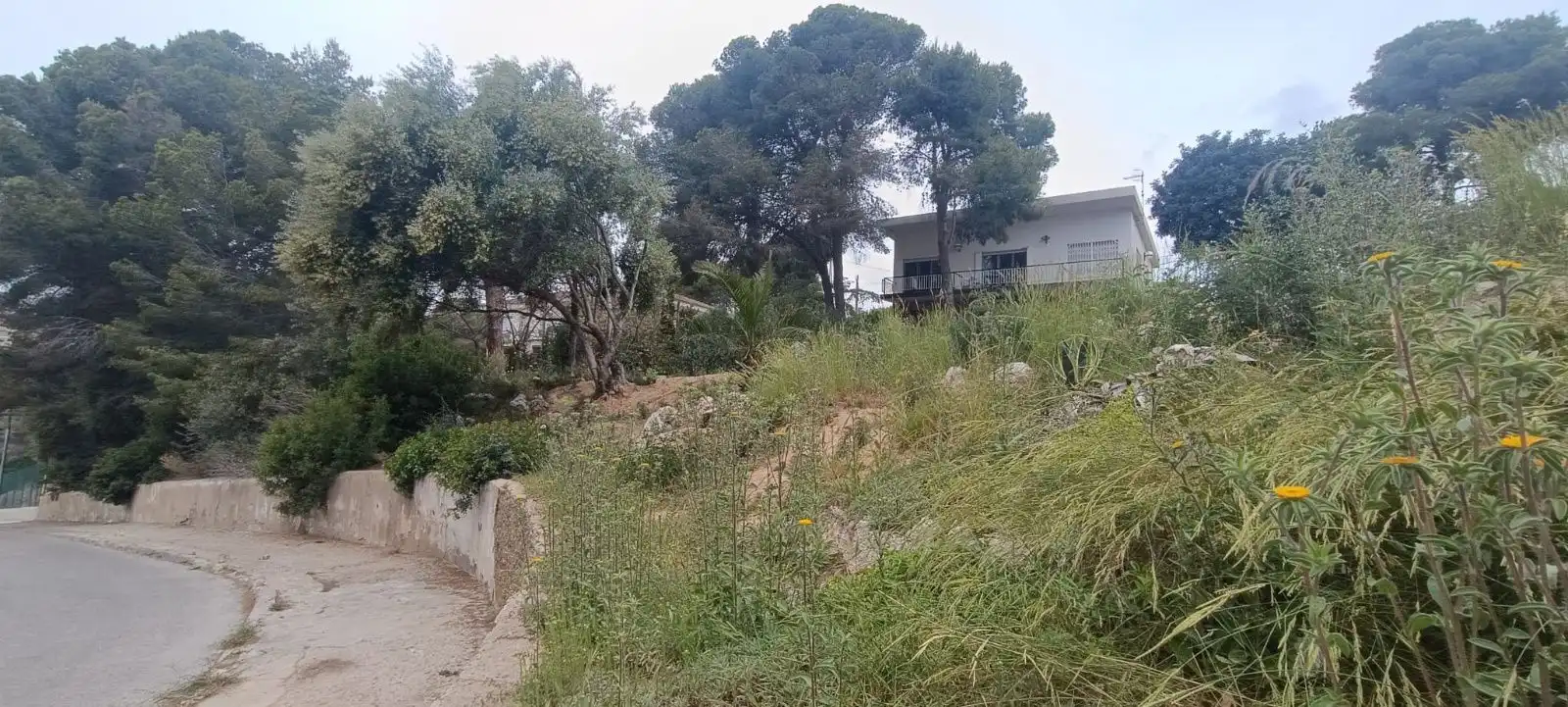 Terreny rústic en venda a SAL, imagen 4