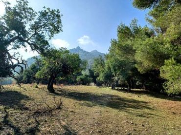 Terreni e lotti in vendita a Felanitx Poble