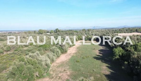 Land for sale in Muro