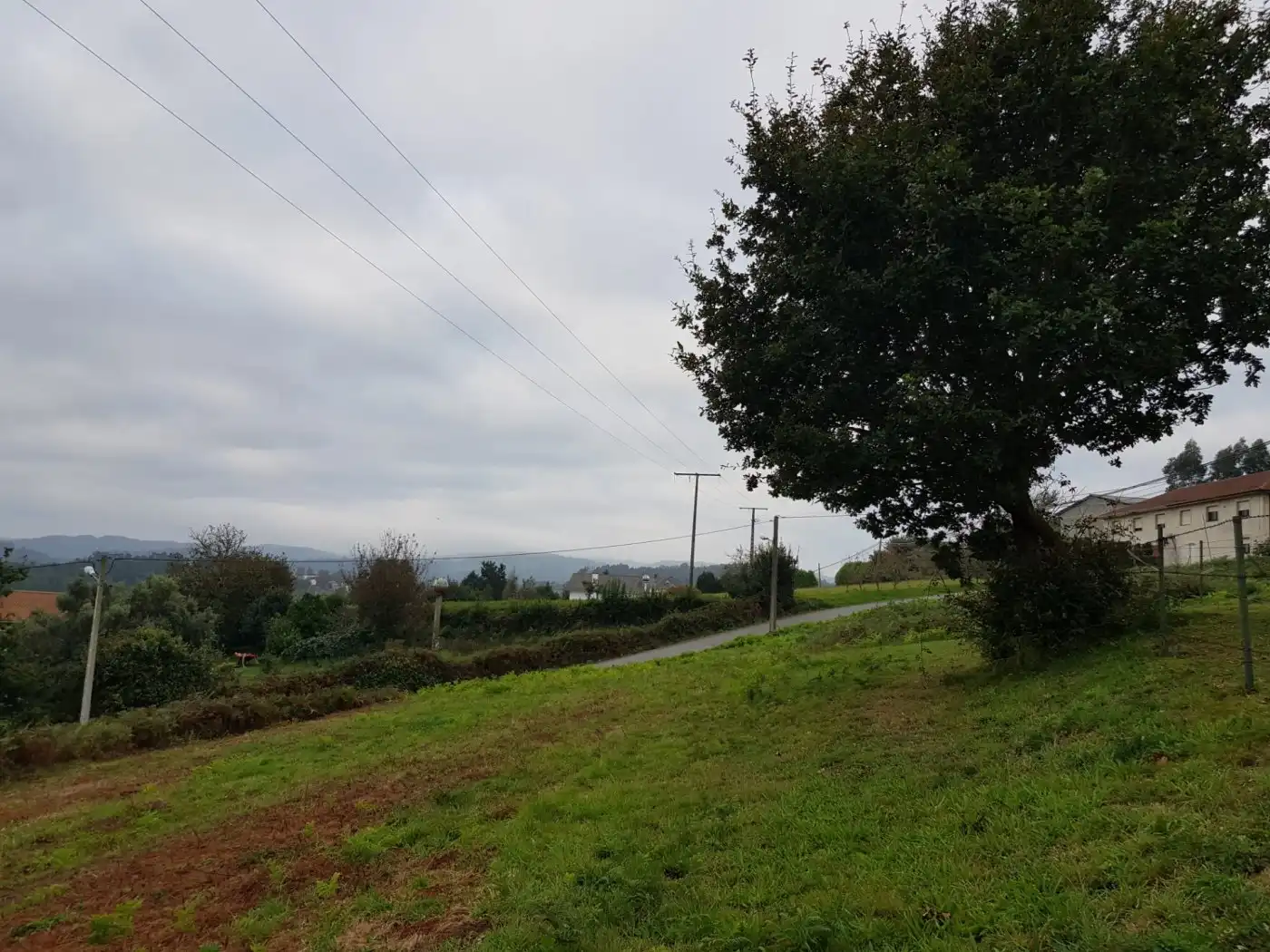 Terreni e lotti in vendita a Abegondo, imagen 7
