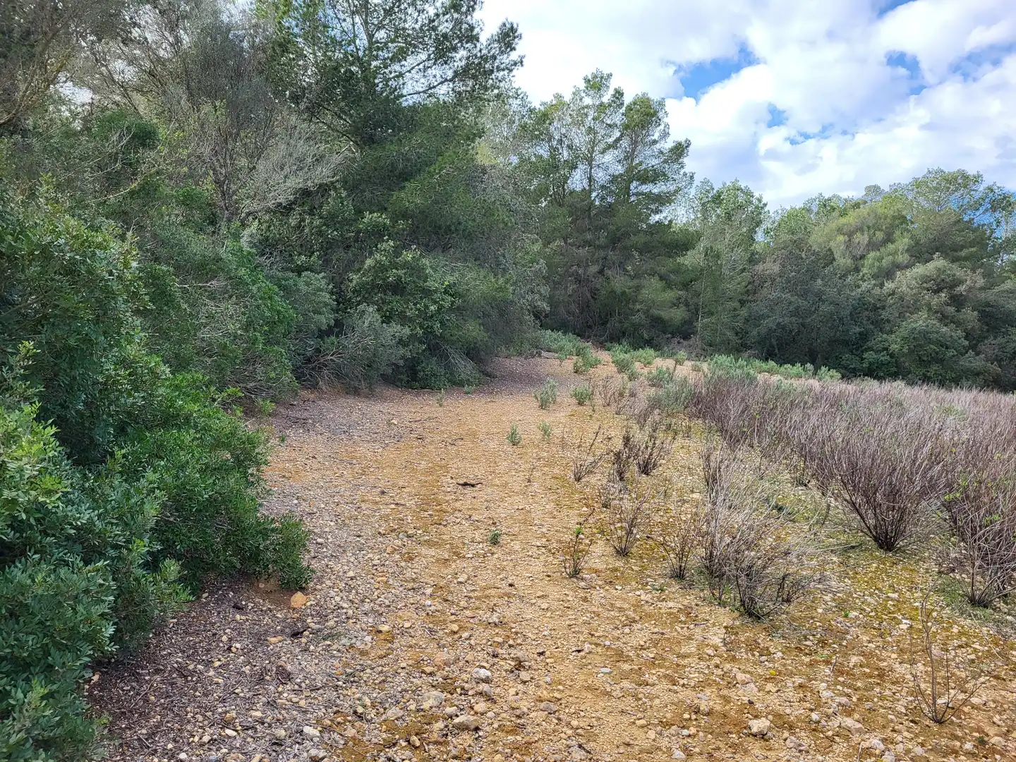 Terreni e lotti in vendita a Sant Joan, imagen 32