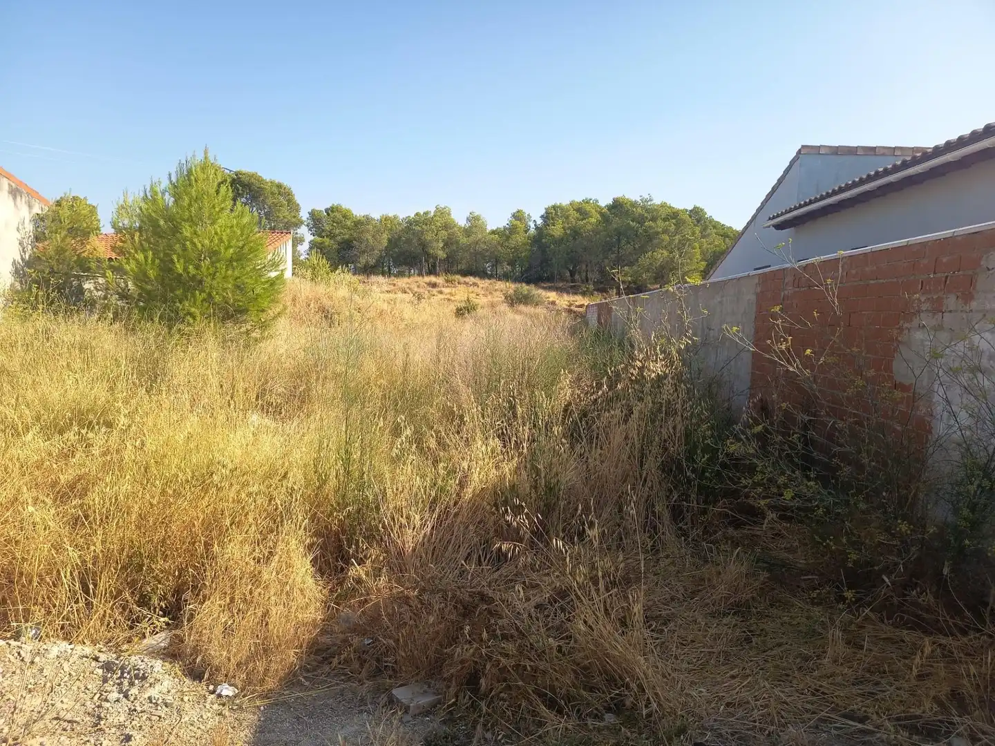 Terreny residencial en venda a Murillo El Cuende, imagen 3