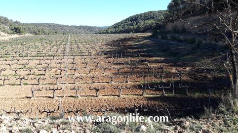 Photo 3 of Country house for sale in N/a, Nonaspe, Zaragoza