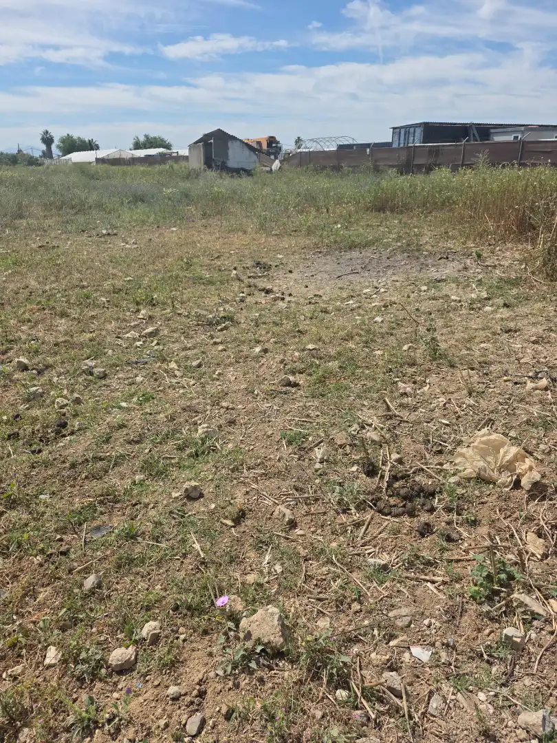 Rural land for sale in Pedanías Norte, imagen 4