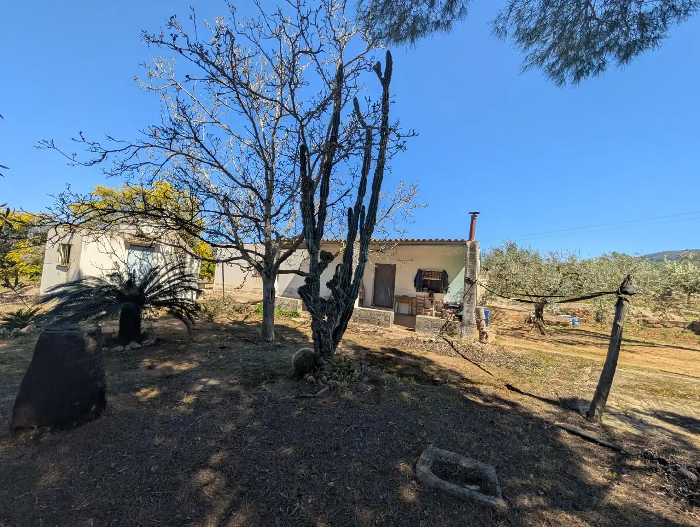 Grundstücke zum Verkauf in Ulldecona
