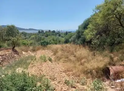 Terreny rústic en venda a PT S 7, imagen 6