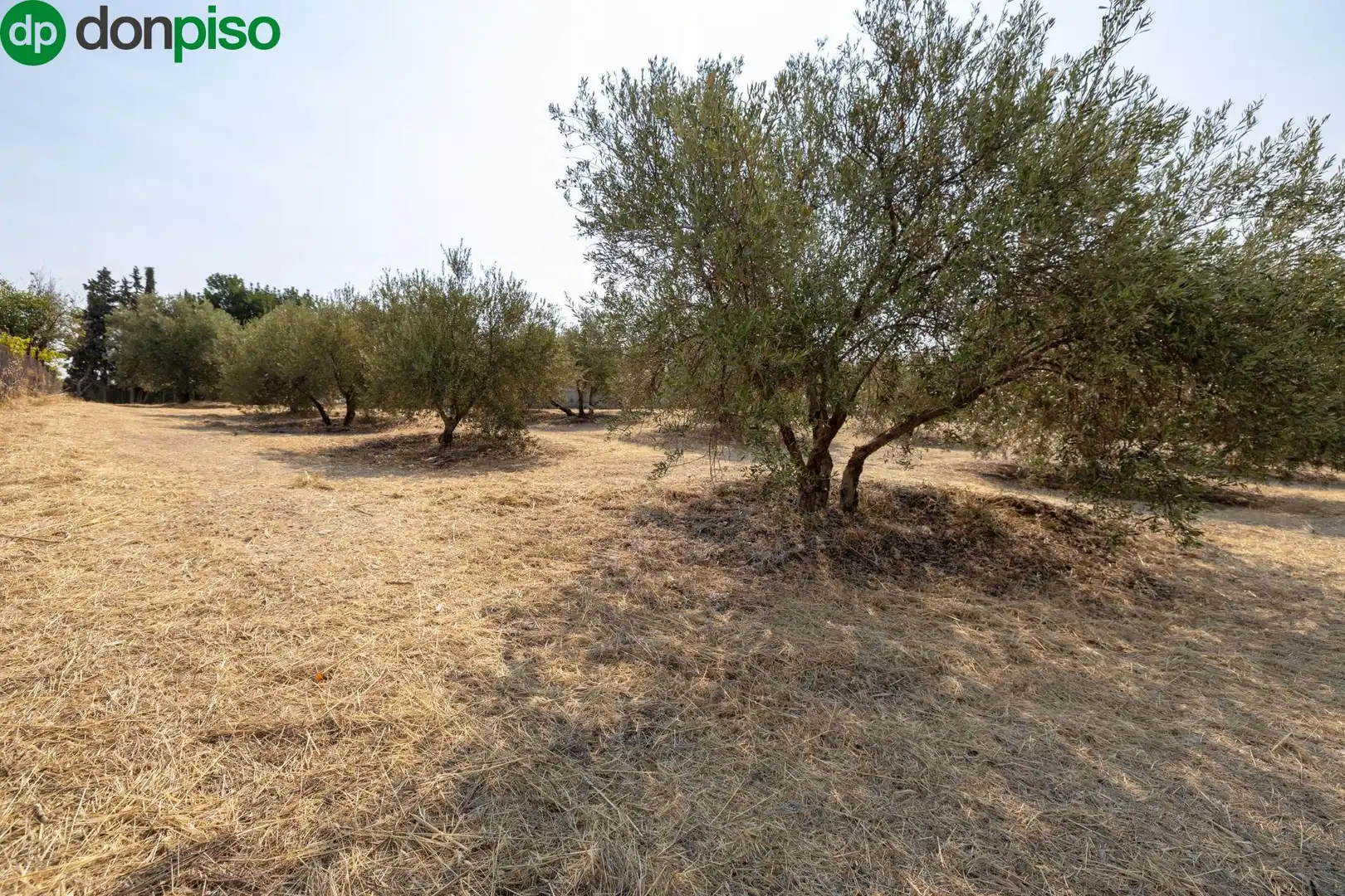 Finca rústica en venda a Calle de Moraleda a Cómpeta, Moraleda de Zafayona