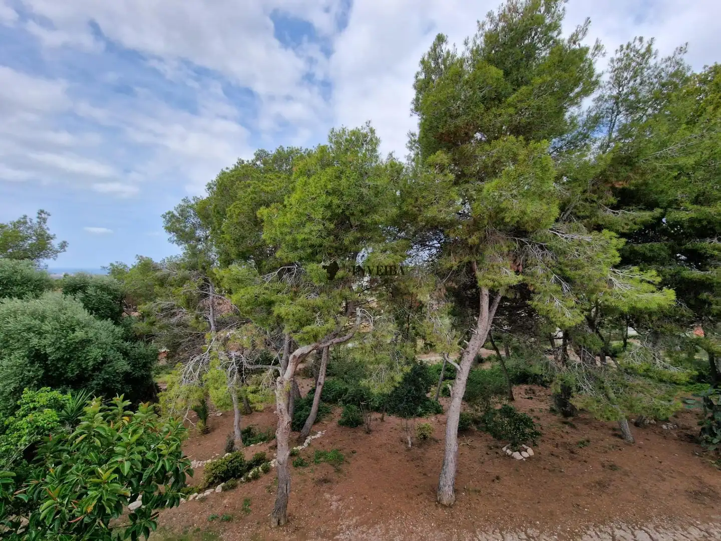 Casa o chalet de alquiler en La Franquesa - Oasis Park