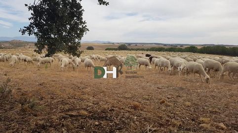 Foto 3 de Residencial en venda a Los Cigarrales-La Bastida, Toledo Capital