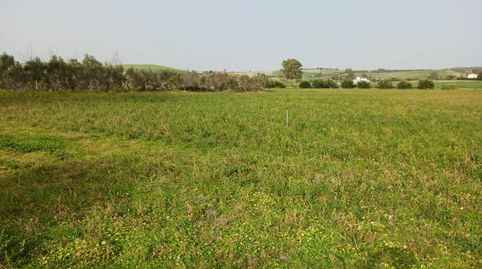 PRECIOSAS FINCAS DE REGADIO