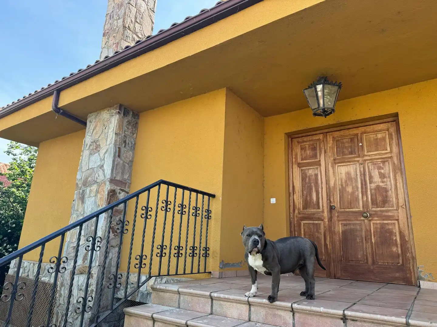 Xalet amb jardí en venda a Calle Nueva, imagen 34