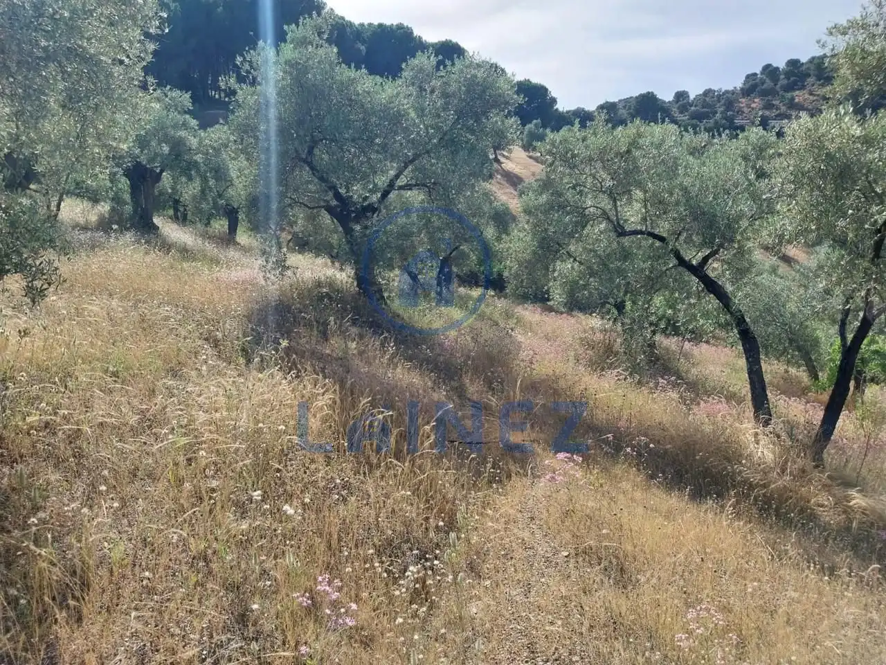 Grundstücke und Bauplätze zum Verkauf in Norte-Sierra, imagen 31