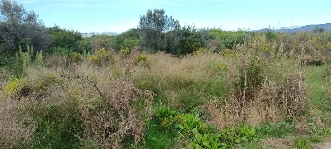 Terrain rustique à vendre à PROC. SIMPLIFICADO, imagen 5
